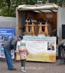 День города 2020-3_6