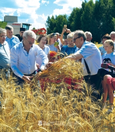 Первый сноп сжат!