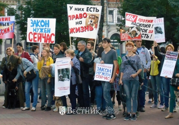 &laquo;Закон нужен сейчас!&raquo;