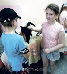 В гостях у &laquo;пушистиков&raquo;