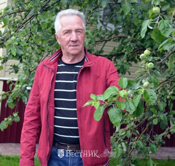 Романтик поля