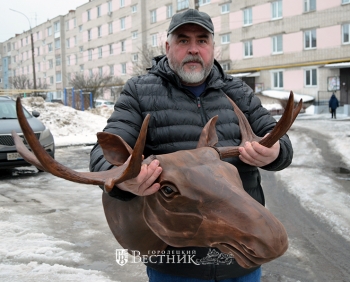 Голова лося &ndash; как живая!