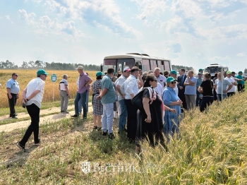 Семинар на просторах полей