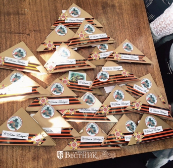 Птицы войны