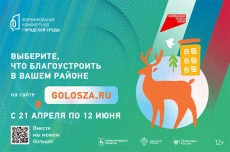 Голосование началось!