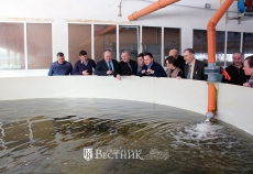 Глеб Никитин утвердил программу развития товарного рыбоводства в Нижегородской области до 2020 года