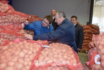 Белорусская делегация посетила Городецкий район