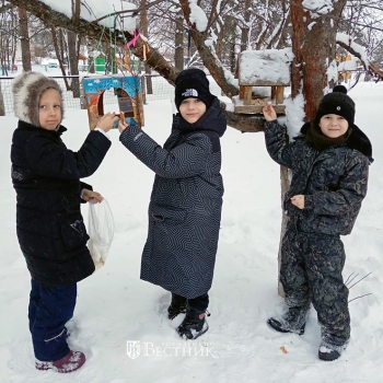 «Покормите птиц зимой»