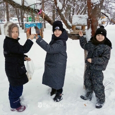 «Покормите птиц зимой»