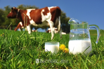 Средний надой молока