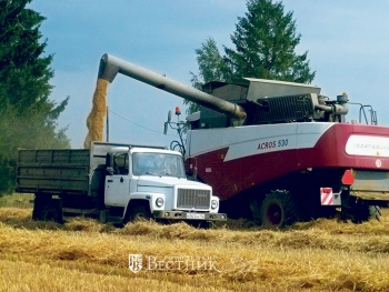 Год и хлебом, и картошкой тароват