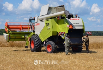 Жатва набирает обороты