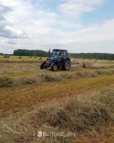 Пора сенокосная