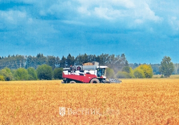 Погода подмочила экономику