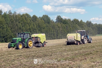 Сенокосная пора