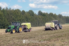 Сенокосная пора