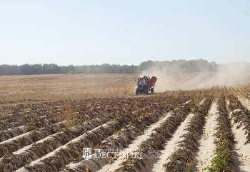 Урожая – море