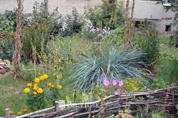 Сама садик я сажала...