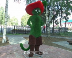 Фотозона для новобрачных, световой фонтан и беговая дорожка появились в селе Спасское в этом году