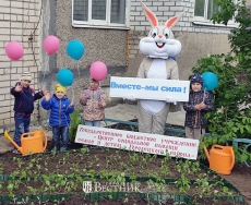 Дарим миру красоту