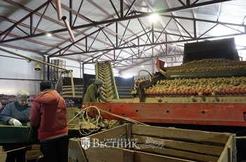 Предпосевная пора в «Мире»