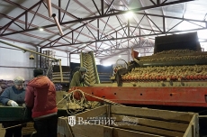 Предпосевная пора в «Мире»