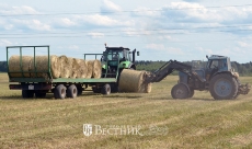 В поле – и днём, и ночью