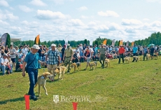 Гончая – это для души!