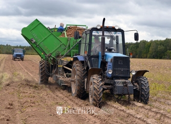 Уборочная в разгаре