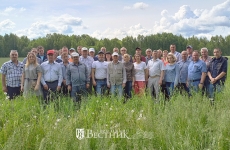 По дороге с облаками