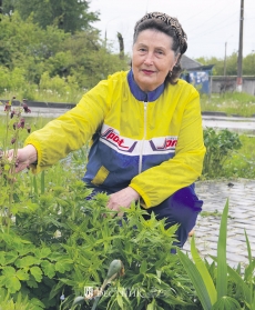 В цветах - жизнь и память